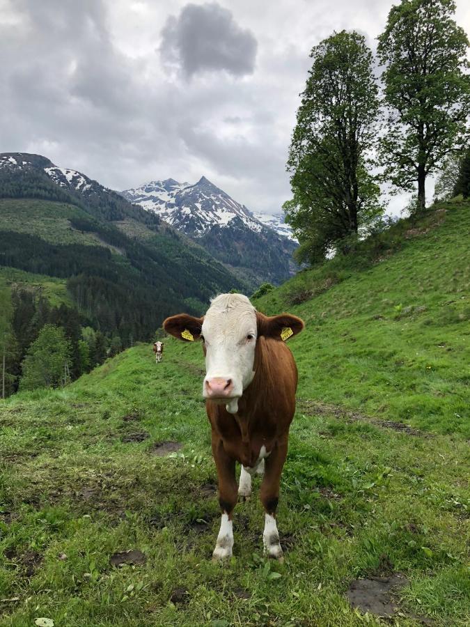Zauneralm 艾奇 外观 照片